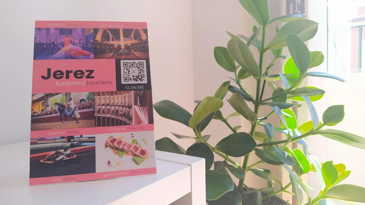 Sherryflat C/Larga Jerez de la Frontera Apartment